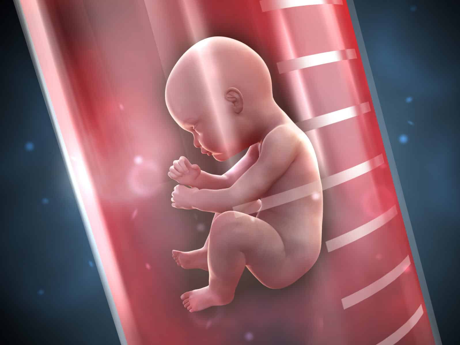 Test tube baby
