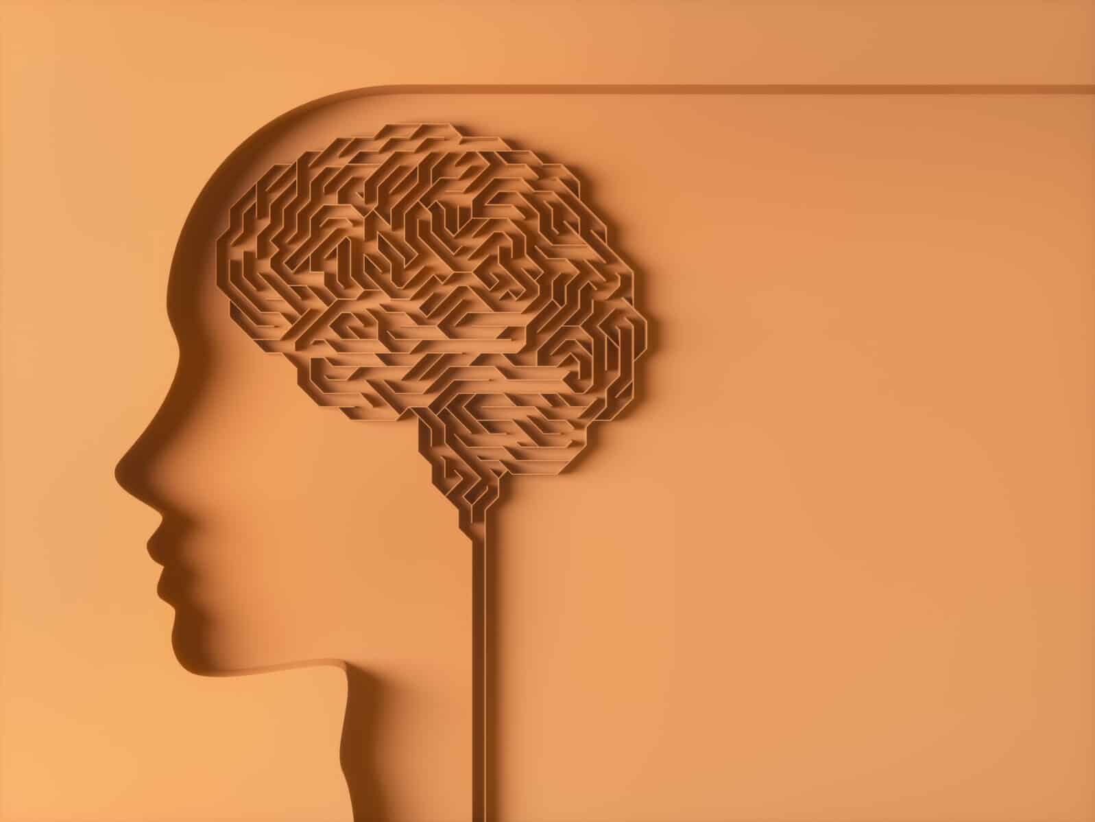 Brain shaped maze. Concept image of study and brain behavior.