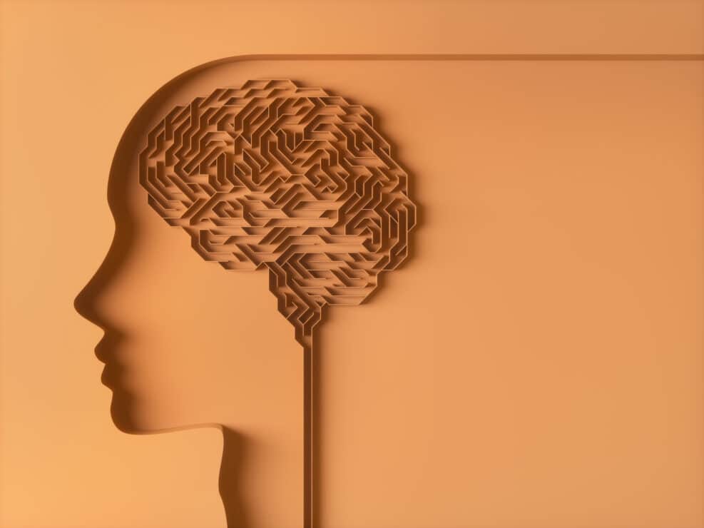 Brain shaped maze. Concept image of study and brain behavior.