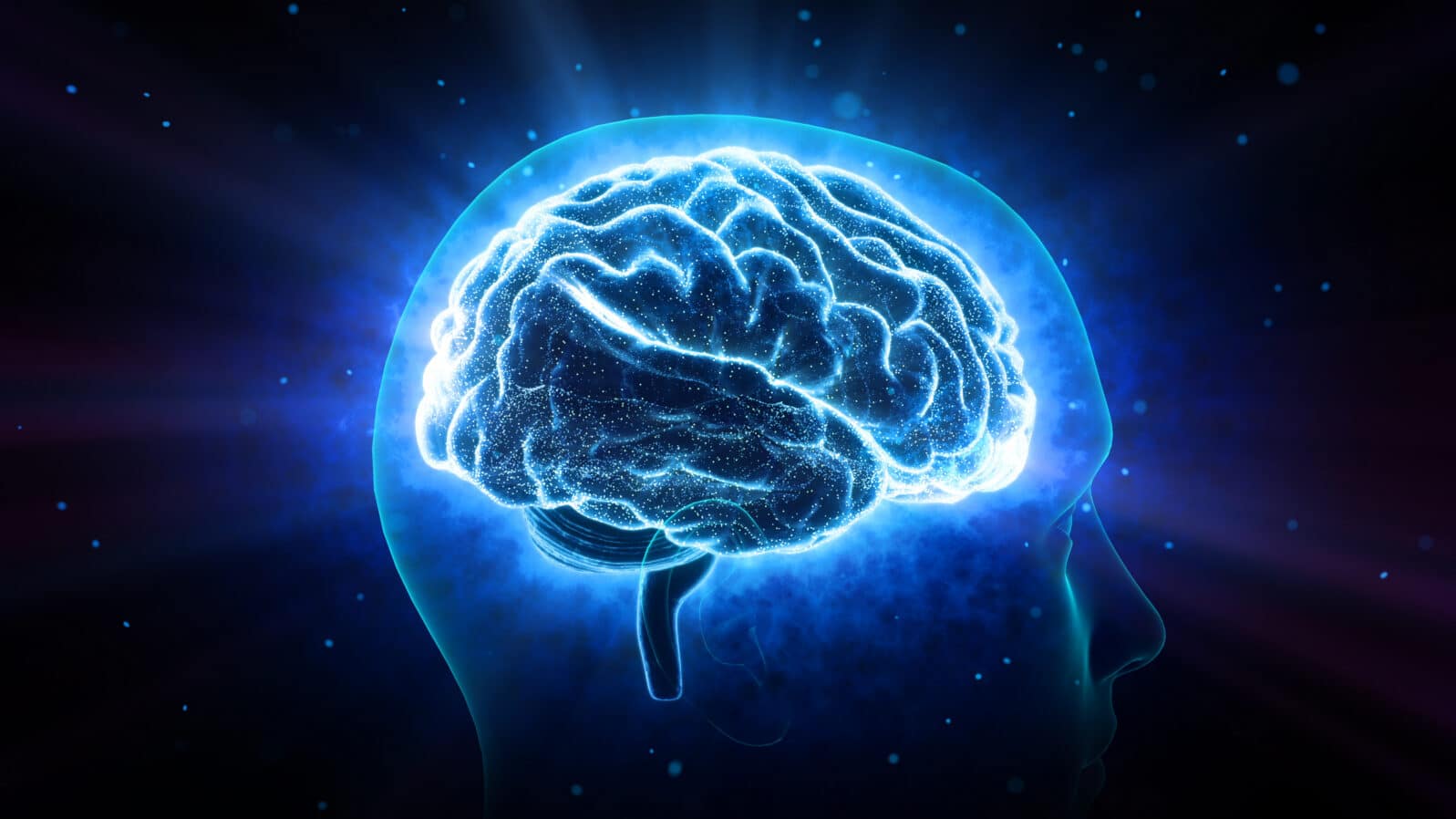 Brain head human mental idea mind 3D illustration background